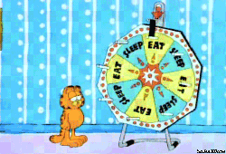 garfield-wheel-spinning