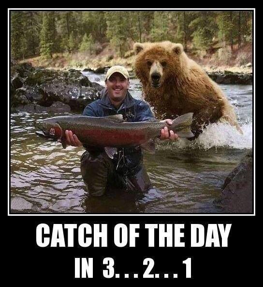 catch-of-the-day-bear