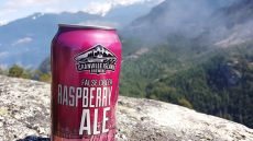 granville-island-false-creek-raspberry-ale