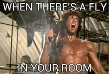 rambo-fly-in-room