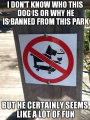 Dog Banned From Park.jpg