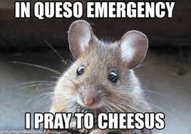Cheese Emergency