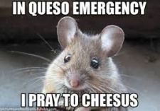 Cheese Emergency