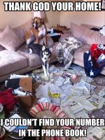 Dogs Phonebook