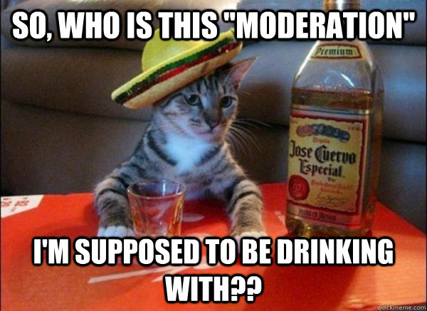 moderation cat