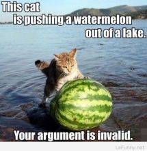 cat-watermelon.jpg