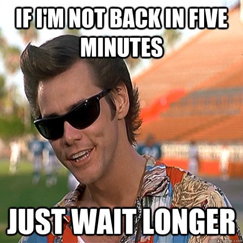 Ace Ventura
