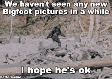 Bigfoot