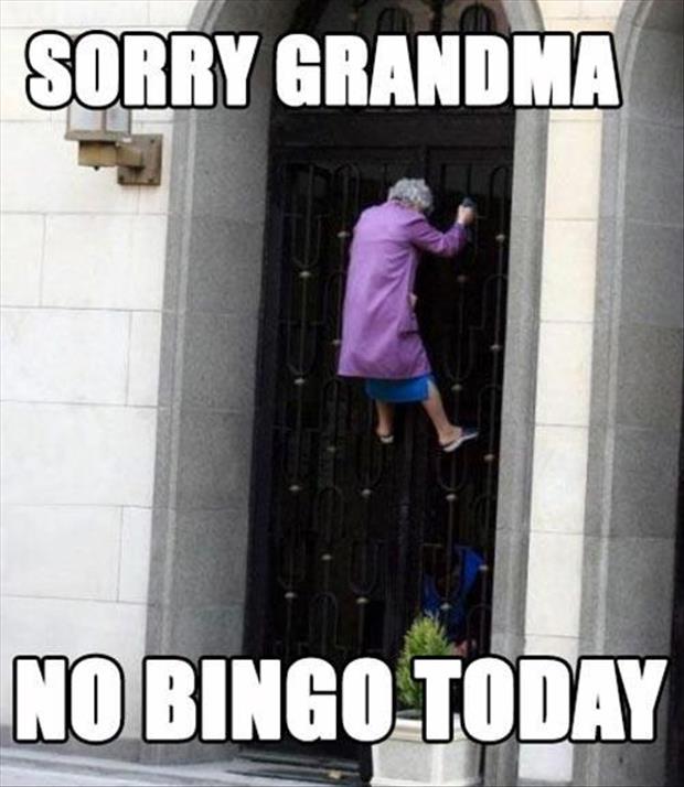 Bingo
