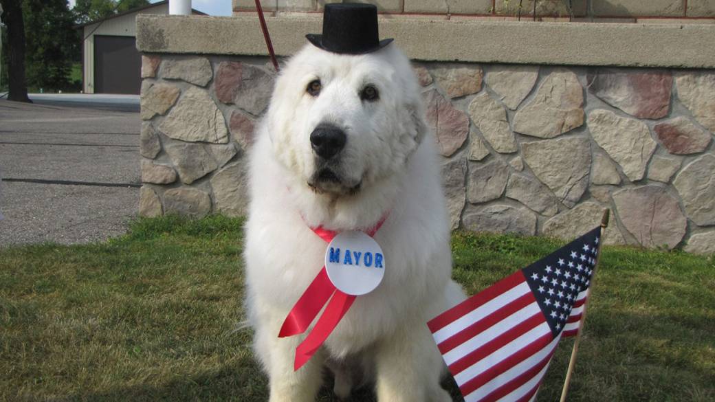 Duke the Mayor