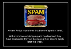 Spam