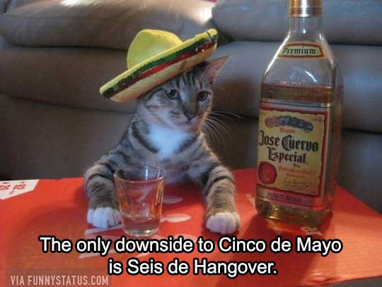 Cinco-De-Mayo