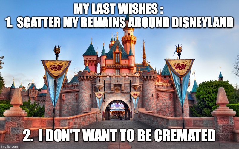 Disneyland Wishes