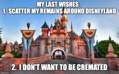 Disneyland Wishes