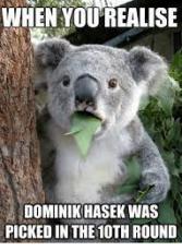 Dominik Hasek