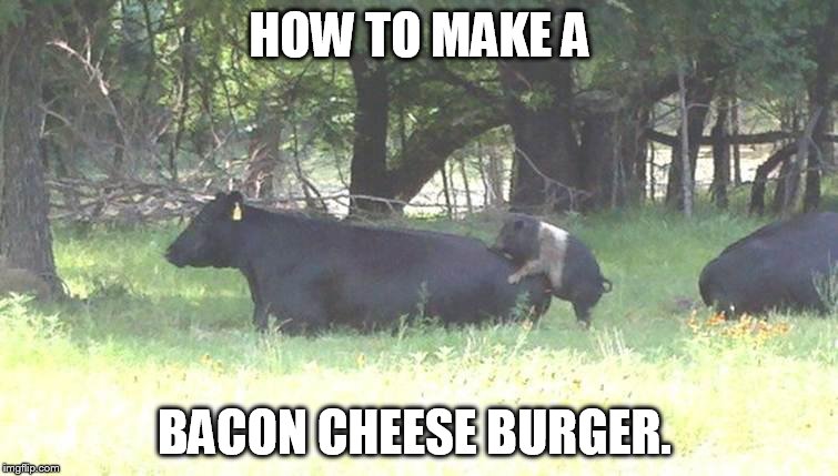 Bacon Cheeseburger