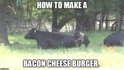 Bacon Cheeseburger