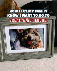 Great Wolf Lodge