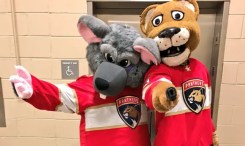 Panthers Mascots