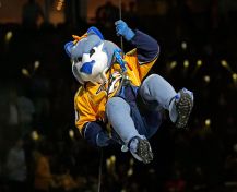 Gnash
