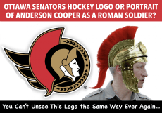 Senators Logo