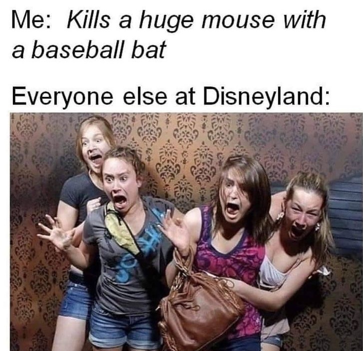 Disneyland