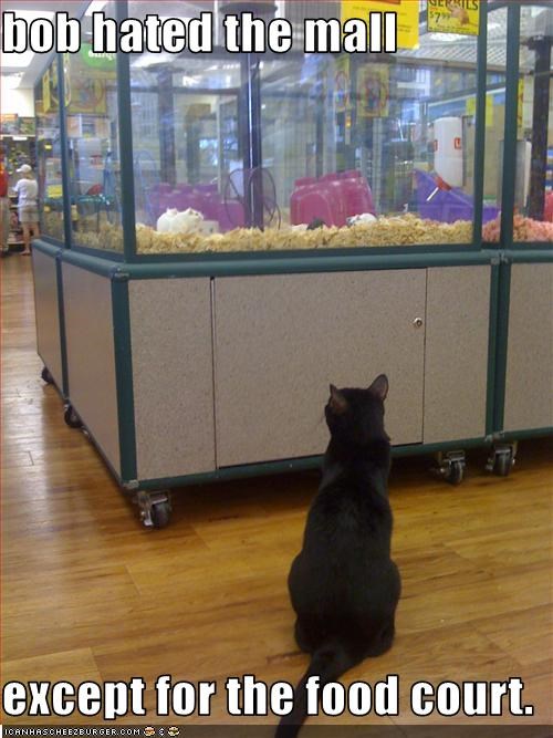 Cat Hates Mall