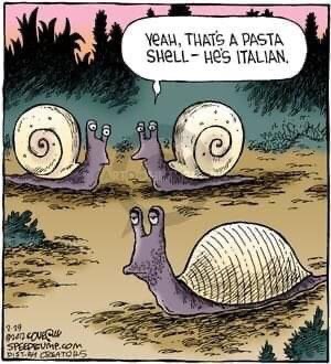 Snails