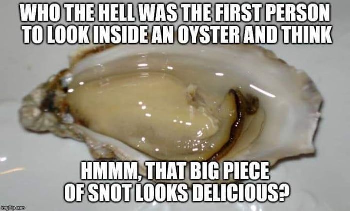 Oysters