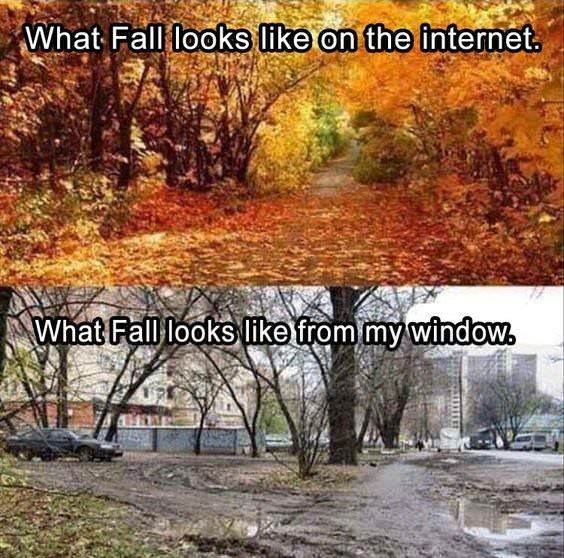 Fall Reality