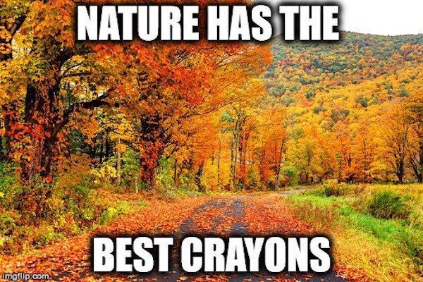 Nature